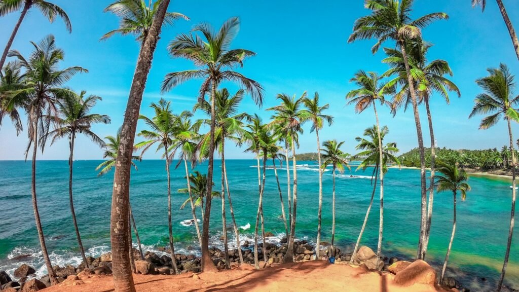 Coconut Tree Hill, Mirissa