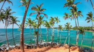 Coconut Tree Hill, Mirissa