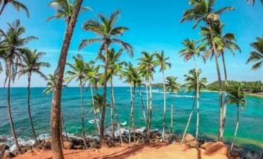 Coconut Tree Hill, Mirissa