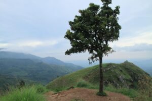 mountain, rock, hiking, trekking, nature, landscape, tree, stone, the picturesque, adventure, sky, panorama, sri lanka, asia, travel, sri lanka, sri lanka, sri lanka, sri lanka, sri lanka