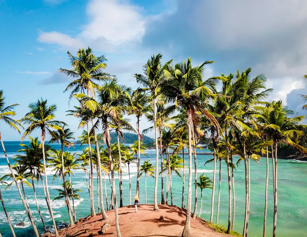 mirissa sri lanka