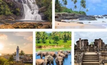 Sri Lanka Cultural Triangle, Hill Country & Beach Tour