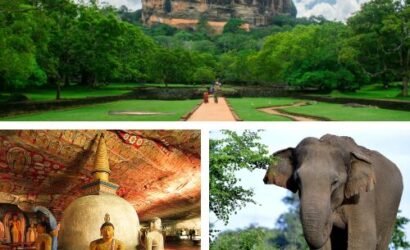 sigiriya day tour