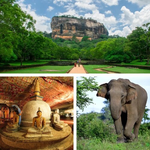 sigiriya day tour