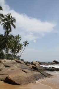 Serene tropical beach scene with palm trees and rocks in Tangalle, Sri Lanka.