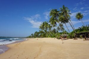 beach, sand, tropical, vacation, travel, coast, landscape, paradise, holiday, scenic, tourism, tangalle, sri lanka, tangalle, tangalle, tangalle, tangalle, tangalle