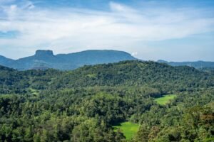 Vibrant green Sri Lankan landscape with mountain backdrop and forested areas during the day.