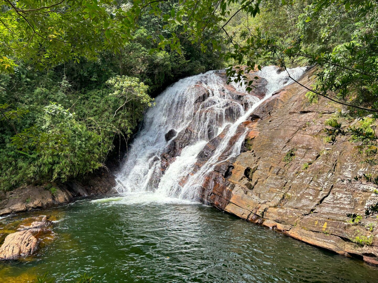 Sri Lanka rainforest Sinharaja UNESCO biosphere reserve