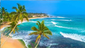 Sri Lanka Private Driver