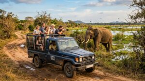 Kumana National Park