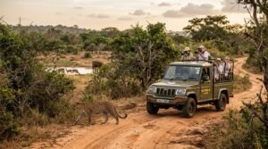 sri lanka safari