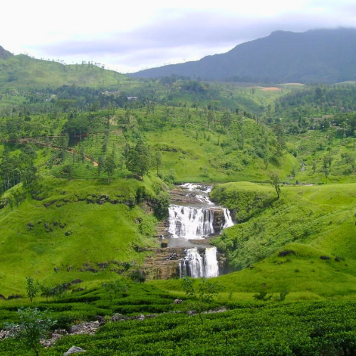 nuwaraeliya