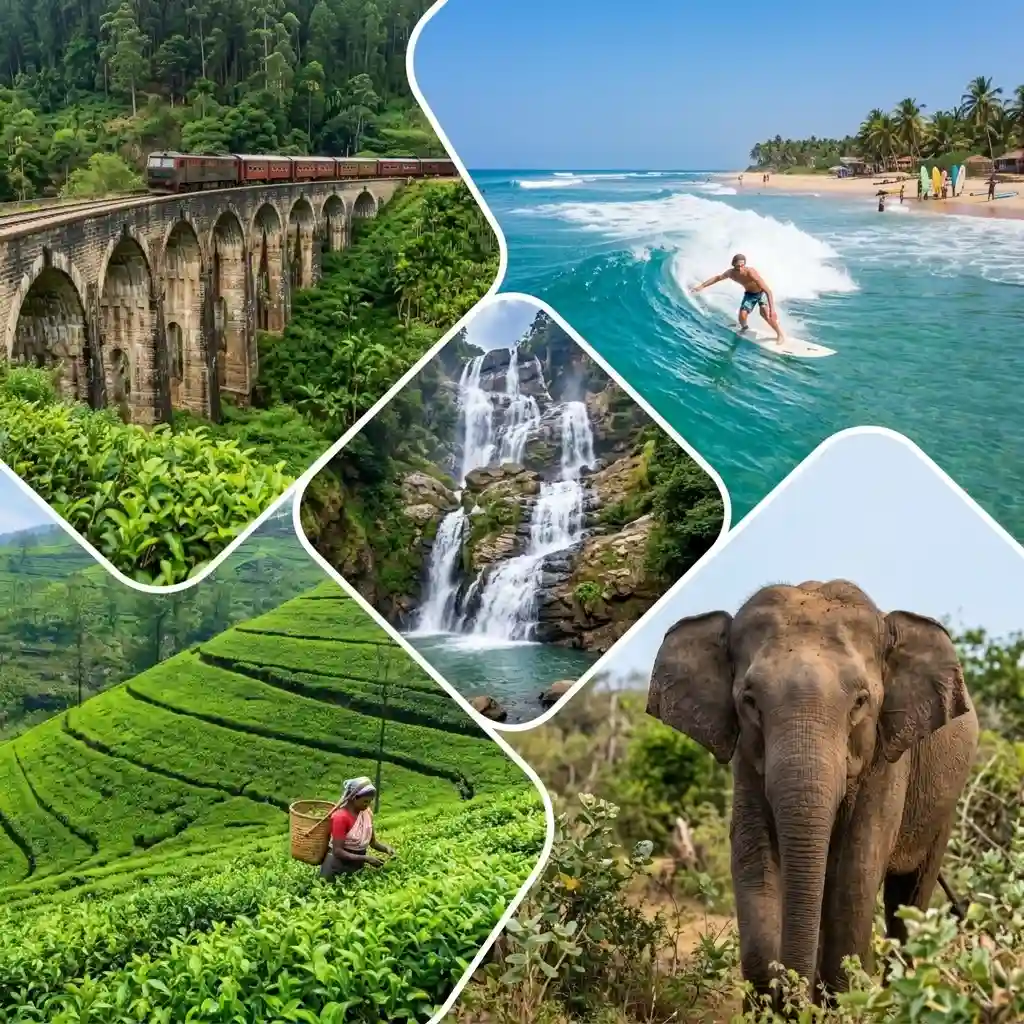 7 Day Sri Lanka Tour East Coast Waves, Wilds & Mist