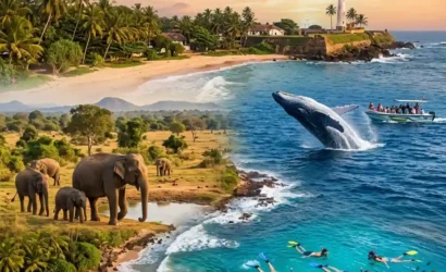 5 Day Sri Lanka Wildlife Tou