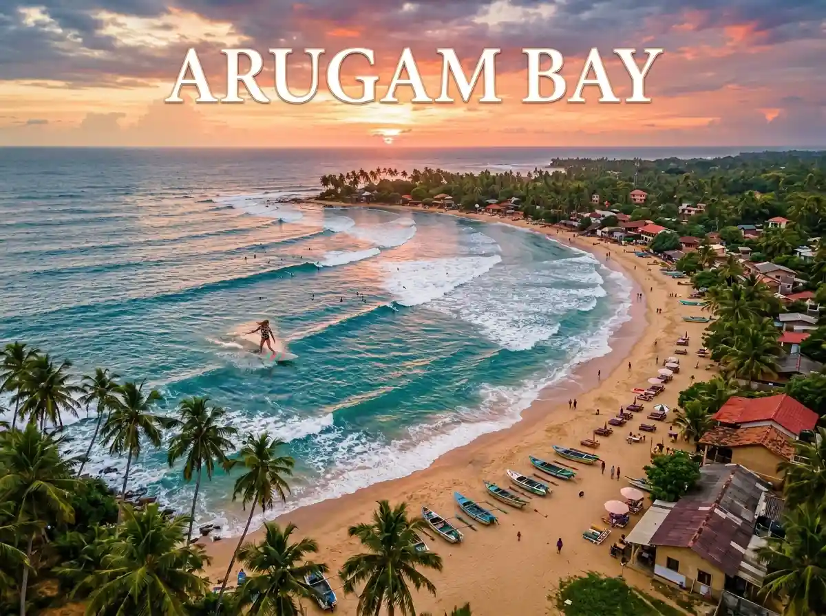 Negombo To Arugam Bay Private Transfer